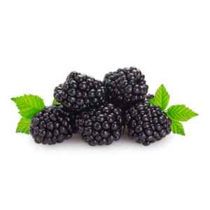 the importance of freshness in berries